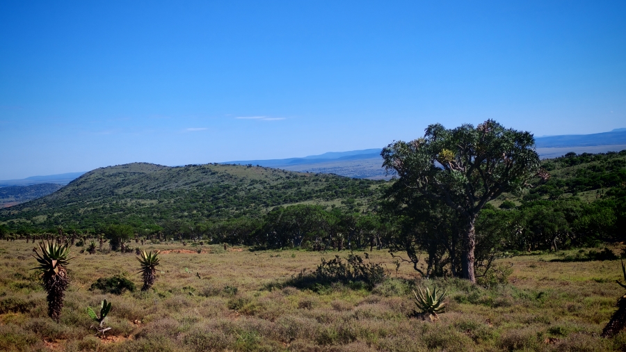 0 Bedroom Property for Sale in Somerset East Rural Eastern Cape